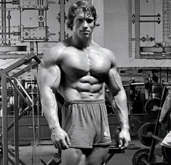 10_Things_You_Didn_t_Know_About_Arnold_Schwarzenegger.jpg